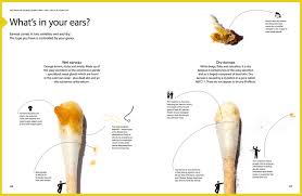 Ear Wax Color Guide
