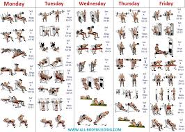 Professional Bodybuilding Workout Chart Pdf