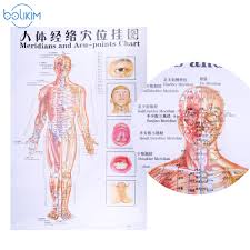 Us 13 84 50 Off Bolikim 6pcs English Hand Foot Ear Body Meridian Points Of Human Wall Chart Female Male Acupuncture Massage Point Map Flipchart In
