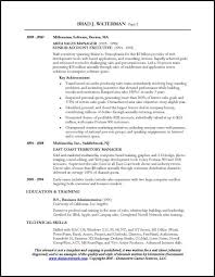 Resume Sample For A Sales Executive