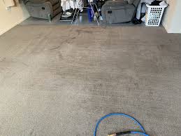 carpet cleaning christchurch topway