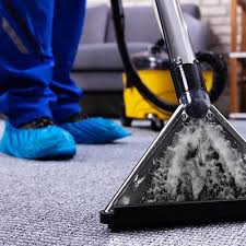professional cleaning services carpet