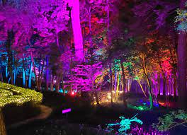 Cw Lights A Palace Garden Glow Event At