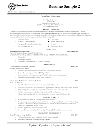 Great Resume Examples For College Students        Plgsa org