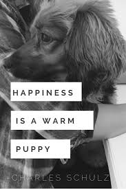 Feel free to share this inspirational quote: Happiness Is A Warm Puppy Dog Quote Dog Quotes Funny Cute Dog Quotes Dog Quotes