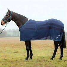 mark todd horse rugs sheets