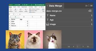 how to use indesign data merge for text