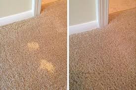 residential carpet cleaning orlando