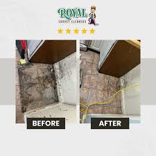 tile grout cleaning in phoenix md