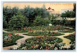 1908 c p r gardens flowers regina