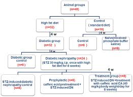 Flow Chart Of Animal Groups Download Scientific Diagram
