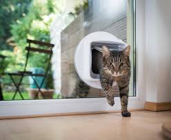 Cat Flap Installations Pet Flaps Uk