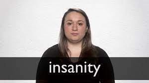 insanity definition in american english