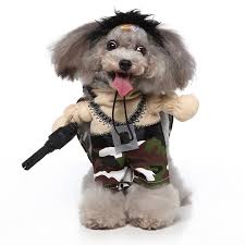 cute dog costume funny mercenary