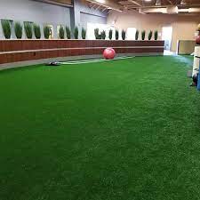 v max indoor gym agility padded turf