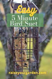 diy simple suet recipe for the birds