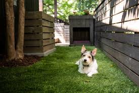 how to build a dog run