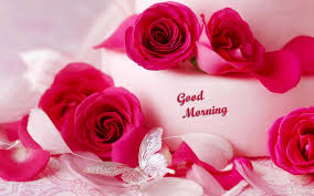 48 romantic good morning wallpaper