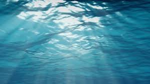 Realistic Animated Calm Ocean Waves Stock Footage Video 100 Royalty Free 14563798 Shutterstock