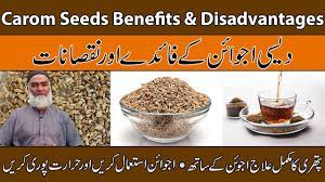 carom seeds benefits disadvanes urdu