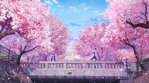 anime couple cherry blossom scenery 4k