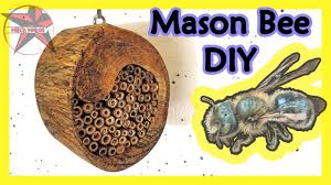 They are named from their habit of making. Mason Bee House Diy Youtube