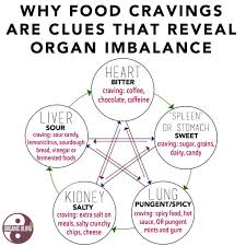 What Are Your Food Cravings Trying To Tell You The 5