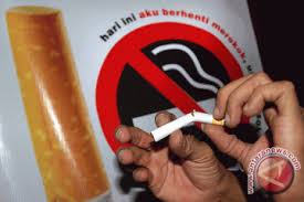 Peristiwa 31 mei sebagai hari tanpa tembakau sedunia ini sudah dilaksanakan sejak tahun 1987. Hari Tanpa Tembakau Sedunia Momentum Berhenti Merokok Antara News
