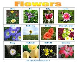 Print Off This Flowers Chart
