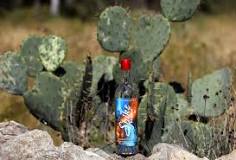 can-you-make-alcohol-from-cactus