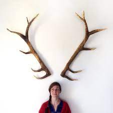 how to make deer antlers my diy deer