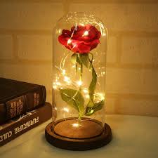 Enchanted Rose Flower In Glass Dome