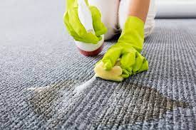 office home carpet cleaning services