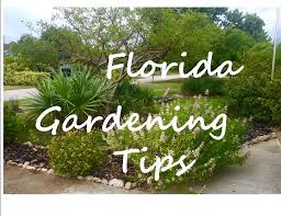 Florida Gardening Tips Keep Brevard