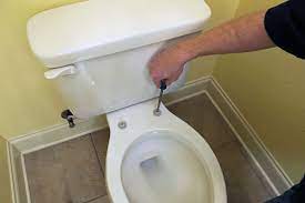 replacing a toilet seat a diy project