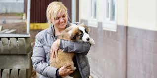 Тепло и забота: волонтеры смогут посещать городские приюты для бездомных  животных / Новости города / Сайт Москвы