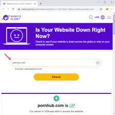 Pornhub wont load