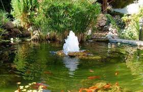 What Can Pond Fountains And Aerators Do