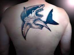 Shark tattoos, White tattoo, Tattoos