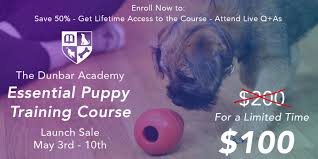 the essential puppy training course is