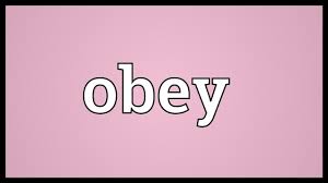 نتیجه جستجوی لغت [obeys] در گوگل