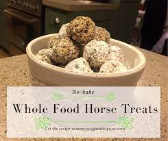 no bake whole food horse treats