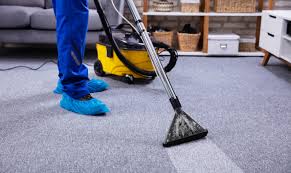 7 important steps every carpet cleaner