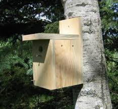 Free Birdhouse Plans