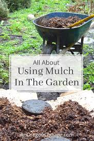 using mulch in the garden all your