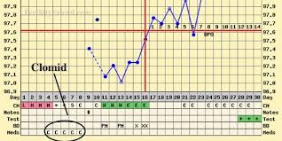Clomid Ovulation Timing And Effect On Chart