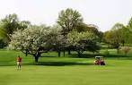 Gray at Ohio State University Golf Course in Columbus, Ohio, USA ...