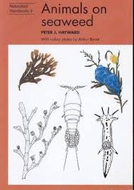 animals on seaweed by peter j hayward