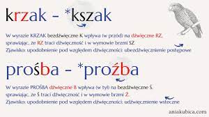 Fonetyka – Język polski