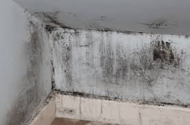 How To Get Rid Of Mould On Walls